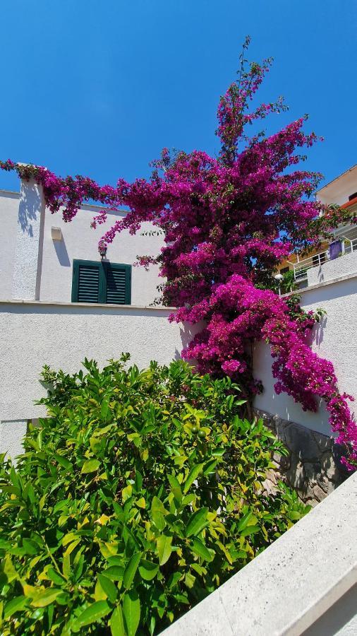 Apartman Filis Hvar Town Exterior photo